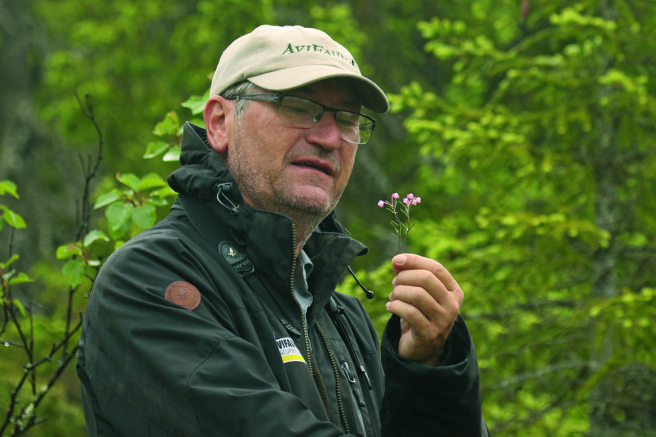 Naturguiden HG Karlsson