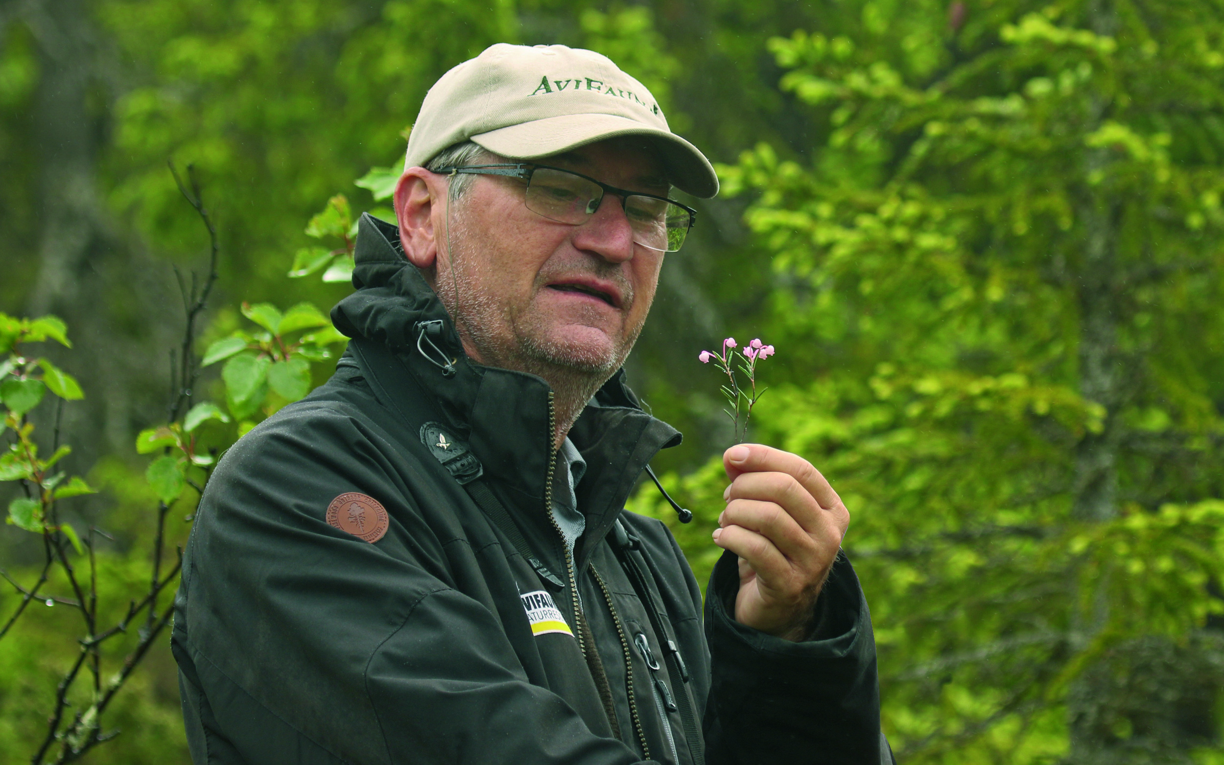 Naturguiden HG Karlsson