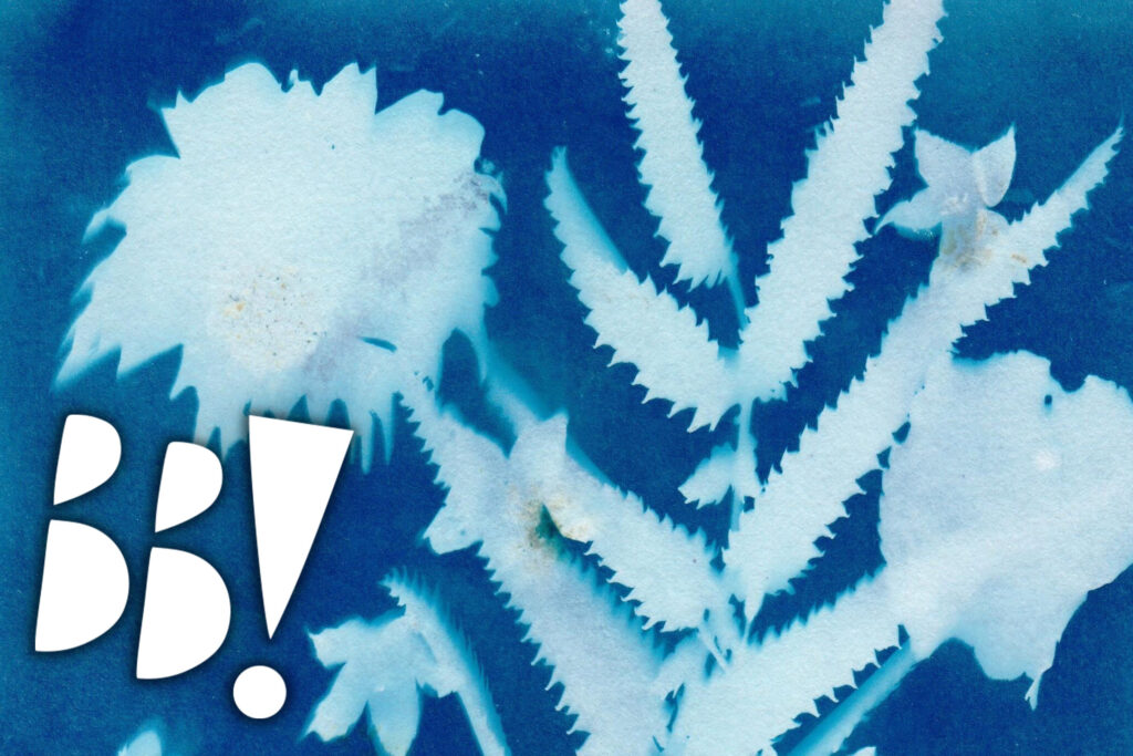 Bild skapad i tekniken cyanotypi, föreställande olika växter i vitt mot blå botten.