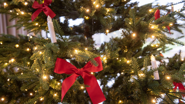 Advent på konstmuseet Ljusbelysning och röda rosetter i en julgran.