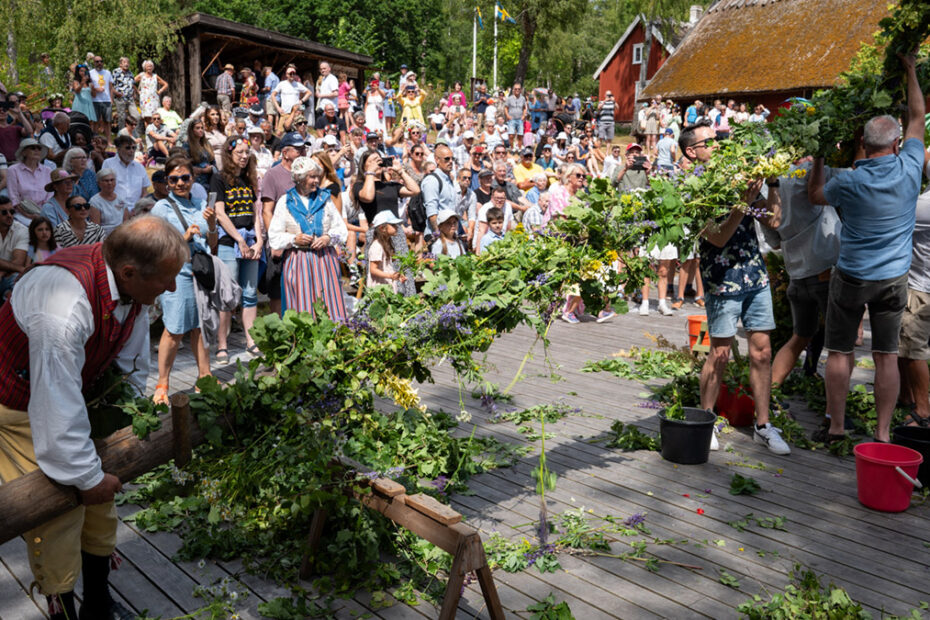 Midsommarstången kläs på Friluftsmuseet Hallandsgården